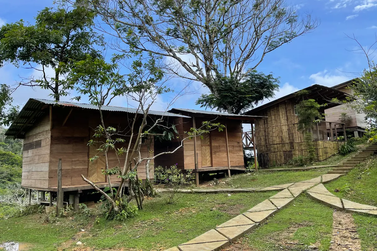 Atelopus Cabin