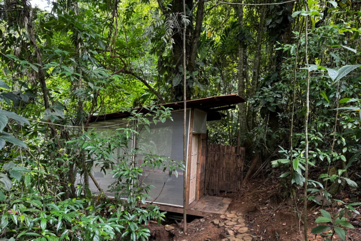 Casa del Árbol