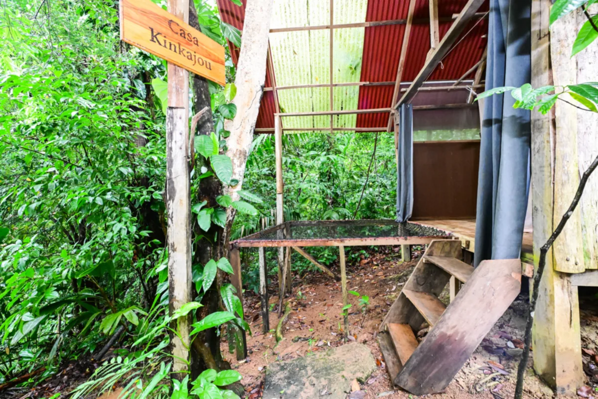 Casa Kinkajou