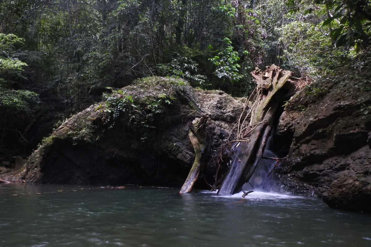 Trekking a la cascada y poza