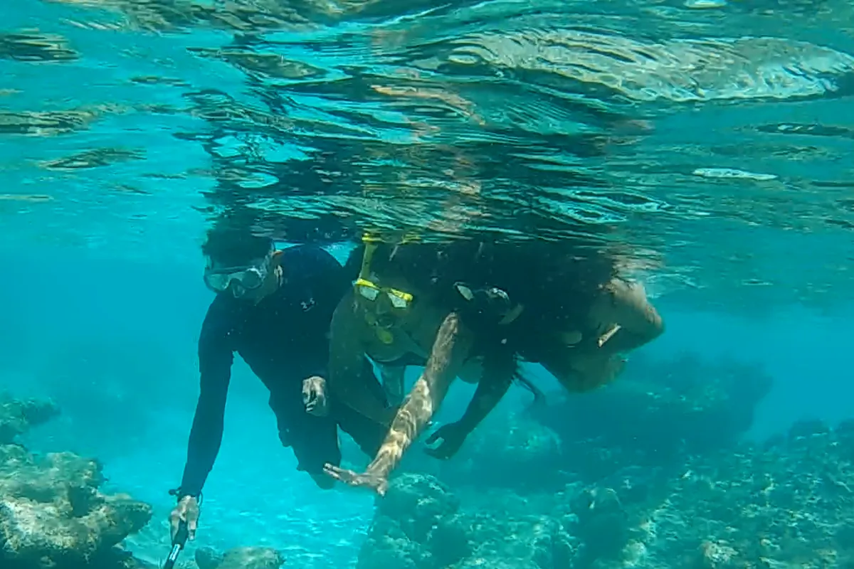 Expedición a Escudo de Veraguas