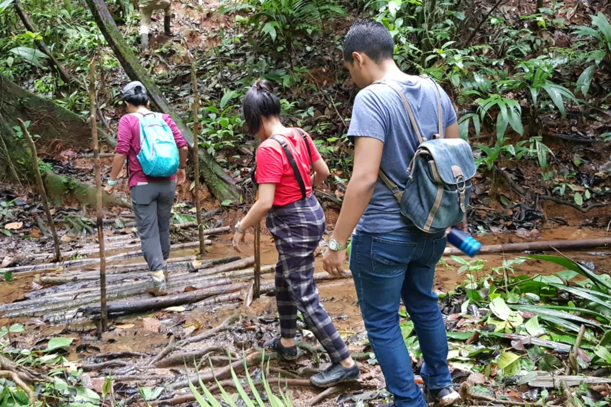 Expedición a medida
